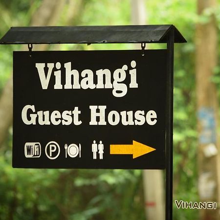 Vihangi Guesthouse دامبولا المظهر الخارجي الصورة
